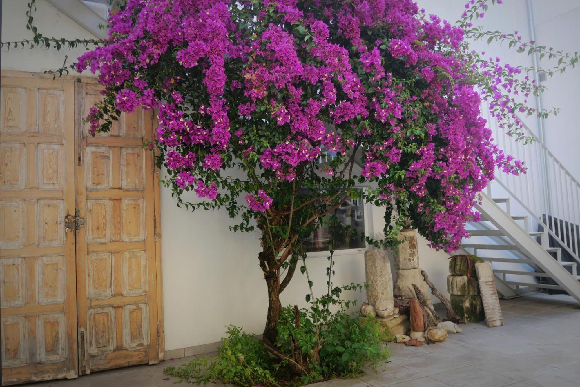 شقة Casa De La Fra جيريز المظهر الخارجي الصورة